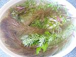     
: IMG_20220515_125606.jpg
: 18
:	202.0 
ID:	13553263