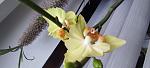     
: IMG_20220516_201130.jpg
: 2
:	85.5 
ID:	13553376