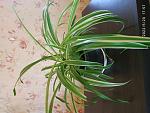     
: IMG_20220520_175722.jpg
: 4
:	130.4 
ID:	13553665