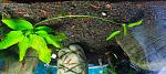     
: IMG_20220521_154842.jpg
: 8
:	144.8 
ID:	13553738