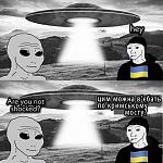     
: 20220521_162711.jpg
: 26
:	81.2 
ID:	13553741
