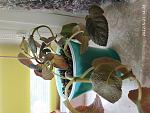     
: IMG_20220521_142844.jpg
: 3
:	139.4 
ID:	13553754