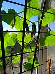     
: IMG_20220221_101003.jpg
: 131
:	130.1 
ID:	13553792