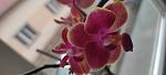     
: IMG_20220524_164131.jpg
: 0
:	48.1 
ID:	13554134