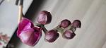     
: IMG_20220524_164141.jpg
: 0
:	43.8 
ID:	13554135