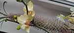     
: IMG_20220524_164010.jpg
: 0
:	81.1 
ID:	13554136