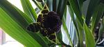     
: IMG_20220525_194101.jpg
: 0
:	73.4 
ID:	13554178