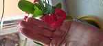     
: IMG_20220525_193258.jpg
: 0
:	53.0 
ID:	13554180