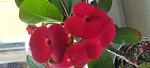     
: IMG_20220525_193251.jpg
: 1
:	48.0 
ID:	13554181