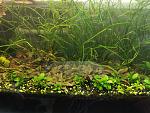     
: IMG_20220513_120857.jpg
: 11
:	233.4 
ID:	13554229