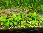     
: IMG_20220526_154645.jpg
: 13
:	188.3 
ID:	13554249