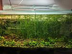     
: IMG_20220526_154558.jpg
: 9
:	236.7 
ID:	13554250