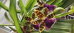     
: IMG_20220529_085259.jpg
: 1
:	95.8 
ID:	13554464