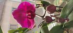    
: IMG_20220529_085722.jpg
: 1
:	58.5 
ID:	13554465