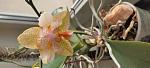     
: IMG_20220529_085925.jpg
: 1
:	78.3 
ID:	13554467