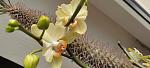     
: IMG_20220529_085934.jpg
: 0
:	74.2 
ID:	13554468