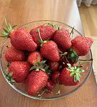     
: 0EA3132C-B14A-4BE5-A1E8-D354B587D7D1.jpg
: 12
:	88.0 
ID:	13554654