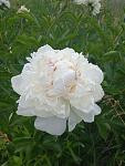     
: IMG_20220602_150137_1.jpg
: 8
:	77.1 
ID:	13554915