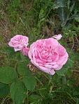     
: IMG_20220602_150033.jpg
: 3
:	94.1 
ID:	13554916