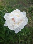     
: IMG_20220602_150204.jpg
: 6
:	78.1 
ID:	13554926