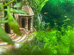     
: photo16544318335.jpg
: 10
:	109.4 
ID:	13555684