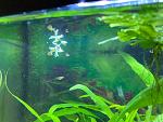     
: photo16544318334.jpg
: 15
:	86.8 
ID:	13555687