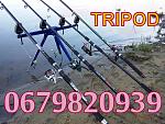     
: 0(Trenoga_New).jpg
: 30
:	248.0 
ID:	13556075