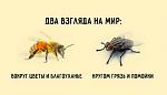     
: tumblr_nx8bigRXnI1uonfnzo1_540.jpg
: 31
:	22.7 
ID:	13556255