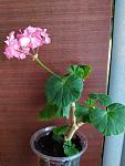     
: IMG_20220611_201611.jpg
: 24
:	86.4 
ID:	13556427