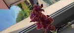     
: IMG_20220615_115113.jpg
: 1
:	61.4 
ID:	13557085