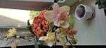     
: IMG_20220615_115631.jpg
: 1
:	68.8 
ID:	13557087
