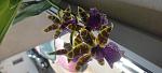     
: IMG_20220615_115200.jpg
: 1
:	61.8 
ID:	13557088
