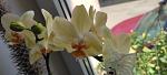     
: IMG_20220615_115520.jpg
: 2
:	58.6 
ID:	13557089
