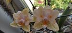     
: IMG_20220615_115509.jpg
: 0
:	77.2 
ID:	13557090