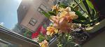     
: IMG_20220621_073817.jpg
: 0
:	104.2 
ID:	13557626