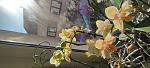     
: IMG_20220621_073824.jpg
: 0
:	107.4 
ID:	13557627