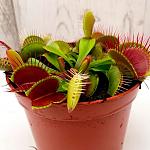     
: 4-46-700x700.jpg
: 28
:	76.7 
ID:	13557759