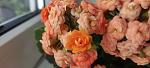     
: IMG_20220625_095102.jpg
: 7
:	68.0 
ID:	13557926