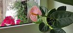     
: IMG_20220625_095155.jpg
: 8
:	66.7 
ID:	13557927