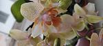     
: IMG_20220625_095111.jpg
: 9
:	65.4 
ID:	13557928