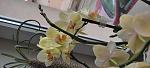     
: IMG_20220625_095119.jpg
: 9
:	72.6 
ID:	13557929
