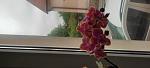     
: IMG_20220625_100007.jpg
: 8
:	57.4 
ID:	13557930