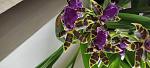     
: IMG_20220625_100017.jpg
: 8
:	83.2 
ID:	13557931