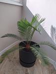     
: _viber_2022-06-16_12-14-35-772.jpg
: 6
:	82.0 
ID:	13558515