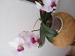     
: 20220504_092830.jpg
: 8
:	104.1 
ID:	13559358