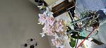     
: IMG_20220707_200700.jpg
: 10
:	94.2 
ID:	13559473