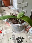     
: IMG_6904.jpg
: 5
:	109.2 
ID:	13560038