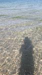     
: 20220721_170157.jpg
: 32
:	110.6 
ID:	13560598