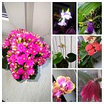     
: 20220721_204202-COLLAGE.jpg
: 10
:	244.1 
ID:	13560603