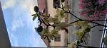     
: IMG_20220730_194143.jpg
: 6
:	99.4 
ID:	13561631